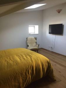ein Schlafzimmer mit einem Bett, einem Stuhl und einem TV in der Unterkunft Petite maison de caractère in Parey-sous-Montfort
