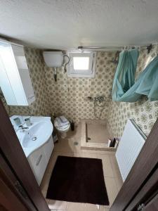 a small bathroom with a sink and a toilet at House on the mountain in Kryonérion