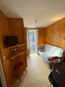 Televízia a/alebo spoločenská miestnosť v ubytovaní Villa Prairie Mont-Dore 7 Appartements
