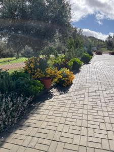 a garden with pots of flowers on a sidewalk at Hospedaria O Castelo in Portel