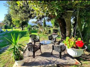 A garden outside Agriturismo Podere Le Palaie