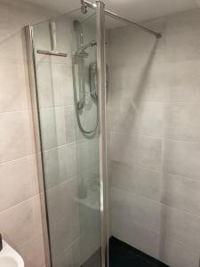 eine Dusche mit Glastür im Bad in der Unterkunft Mumbles - Modern Apartment with panoramic sea views in Oystermouth