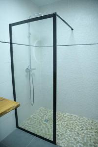 a shower with a glass door in a bathroom at Lodge Palmeraie & son Jacuzzi exclusif in Matoury