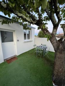 ベグルにあるLa Bordelaise - Logement cosy avec jardin à Bèglesの庭の木の下の椅子