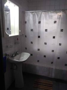 baño con lavabo y cortina de ducha en Casa Quinta Chascomús en Chascomús