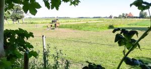 Zahrada ubytování Vakantiehuis met fraai uitzicht