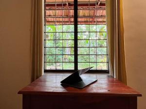 Munroe IslandMunroe Nest Homestay的相册照片