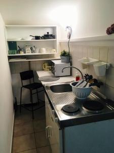 a small kitchen with a stove and a sink at Katica Apartmanok in Egerszalók