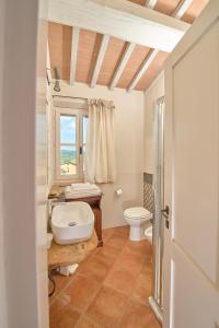 a bathroom with a sink and a toilet at Il Poggio in Celle sul Rigo