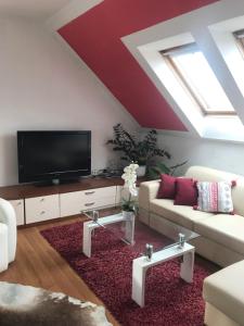 ein Wohnzimmer mit einem Sofa und einem TV in der Unterkunft Apartman Bosco in Ravna Gora
