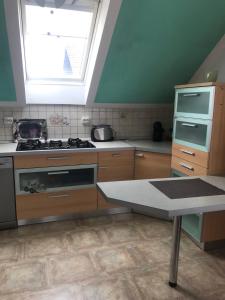 a kitchen with a stove and a window in it at Apartman Bosco in Ravna Gora