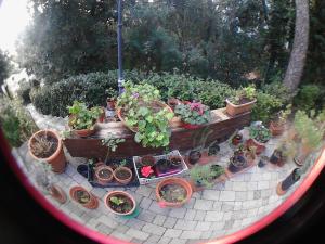a bunch of potted plants sitting on a patio at La Casa di Ulisse B&B in Quercianella