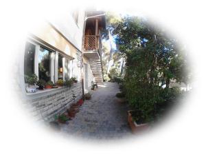 a view of an alley with potted plants and a building at La Casa di Ulisse B&B in Quercianella