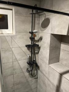 La salle de bains est pourvue d'une douche. dans l'établissement Nordic Villa, à Braşov