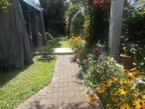 Giardino di Hotel Captain