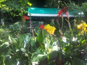 Giardino di Hotel Captain