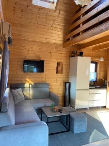 a living room with a couch and a refrigerator at Dolina Bella - domek z balią, basenem, sauną i klimatyzacją w sercu Kaszub in Gołubie