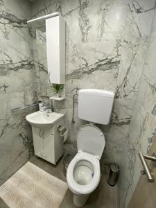 a bathroom with a white toilet and a sink at Apartman NADA in Slavonski Brod