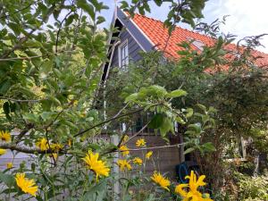 una casa con flores amarillas delante de ella en het zwaluwnest, en Koudekerke