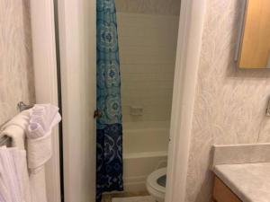 a bathroom with a shower curtain and a toilet at #2BR Cozy Villa - Mins to Historic STM Amusement Park! in Stone Mountain