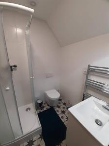 a bathroom with a shower and a toilet and a sink at Odal Hawaii sro ubytování vzdělávání in Pěnčín