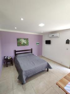 a bedroom with a large bed and a tv at Marina Guest House in Búzios