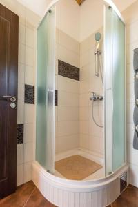 a shower with a glass door in a bathroom at beautiful bay house Duga in Okrug Gornji