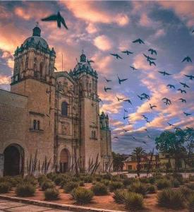 a flock of birds flying in front of a building at JUUB More Oaxaca Impossible (R1) in Oaxaca City