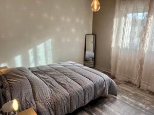 een slaapkamer met een bed en een groot raam bij F3 Centre- Ville Lafayette avec garage in Clermont-Ferrand
