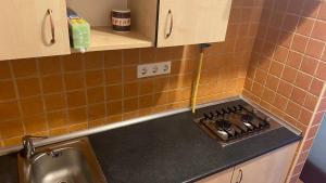 a kitchen counter with a stove and a sink at Budapest Flat Rent in Budapest