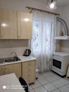 a kitchen with a sink and a stove at Evaggelia's Apartments 1 Διαμονή στο κέντρο in Kozani