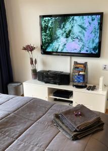 TV a/nebo společenská místnost v ubytování Comfort-Apartment