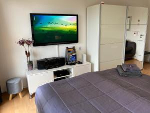 TV a/nebo společenská místnost v ubytování Comfort-Apartment