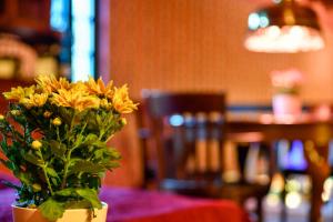 Gallery image of Buchholz Saloon in Altlandsberg +16 photos