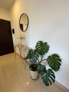 a plant in a room with a mirror and a table at Departamento Bambú Salta Capital in Salta