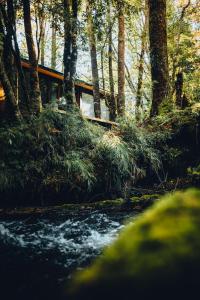 Paisaje cerca de este lodge