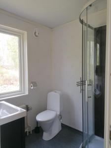 a bathroom with a toilet and a sink and a shower at Gula huset, Lakene Ostgård in Lakene