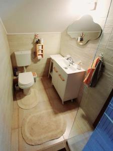 małą łazienkę z toaletą i umywalką w obiekcie Old Mark's House Sinaia w mieście Sinaia