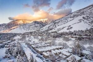 Příroda nedaleko vily