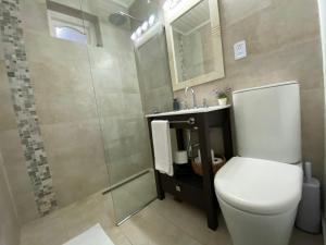 y baño con aseo, ducha y lavamanos. en Casa Le Martial en Ushuaia