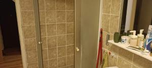 a bathroom with a shower stall and a mirror at Happy Home in Starčevo