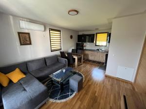 Vila Mana في إيفانييتسا: غرفة معيشة مع أريكة وطاولة