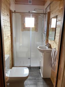 a bathroom with a shower and a toilet and a sink at Cosy 2 BR cabin on coast private hot tub ' Driftwood ' in Stolford