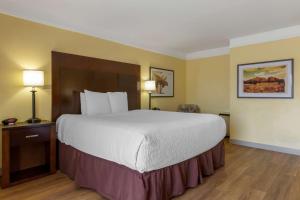 Postel nebo postele na pokoji v ubytování Best Western Phoenix Goodyear Inn
