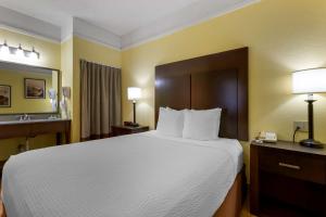 Postel nebo postele na pokoji v ubytování Best Western Phoenix Goodyear Inn