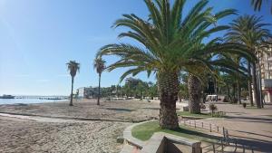 a palm tree on a beach with a bench at VAO Holiday Rentals-Santiago De la Ribera in San Javier