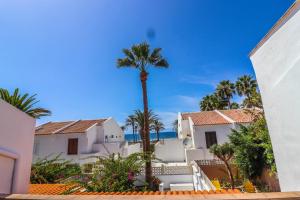 a palm tree in the middle of some houses at Rentaliday Garden Beach in Playa de las Americas