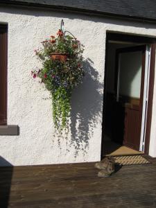 una cesta colgada de flores al lado de un edificio en Seggat Farm Holiday Cottages en Kirktown of Auchterless