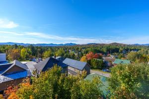 an aerial view of a town with trees and mountains at The Devlin in Lake Placid