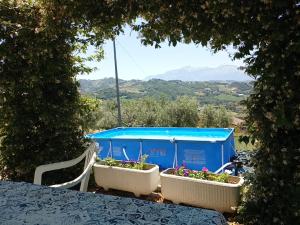 a table and chairs with plants inront of a blue building at La Casa delle Storie in Teramo